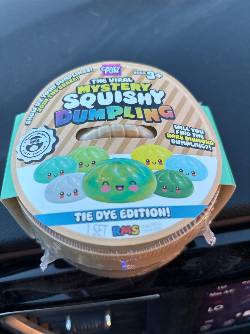 Mystery Squishy Dumpling Tie Dye Edition